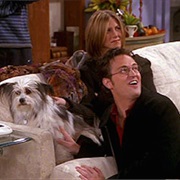Friends: The One Where Chandler Doesn't Like Dogs