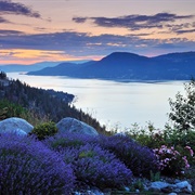 Okanagan Valley, Canada