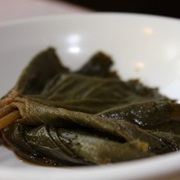 Fischers Ragwort (Ligularia Fischeri)