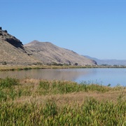 Tule Lake National Wildlife Refuge