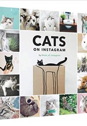 Cats on Instagram (@Cats_Of_Instagram)
