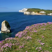 Isle of Wight
