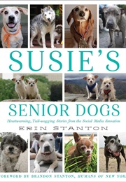 Susie&#39;s Senior Dogs (Erin Stanton)