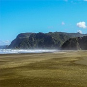 Gibbons Track Walk - Medium (3 Hours)