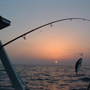 Go on a Fishing Trip