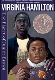 The Planet of Junior Brown (Virginia Hamilton)