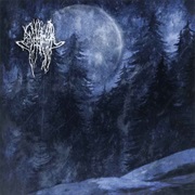 Severoth - Forestpaths