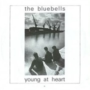 Young at Heart - Bluebells