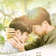 History 2: Right or Wrong