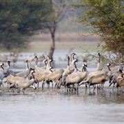 Lac De Chantecoq, France