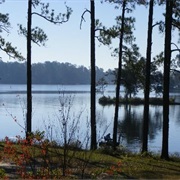 Paul B. Johnson State Park, Mississippi