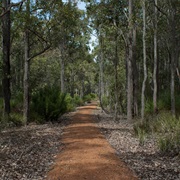 Jarrahwood
