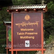 Motithang Takin Preserve, Bhutan