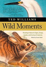 Wild Moments (Ted Williams)