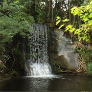 The Garden of the Groves, Bahamas