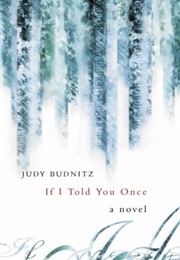 If I Told You Once (Judy Budnitz)