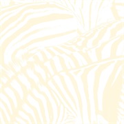 10 Mile Stereo - Beach House