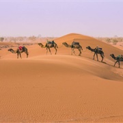 Erg Chigaga, Morocco