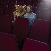 Watch Movie in the Cinema Alone