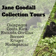 Jane Goodall Tours With G Adventures