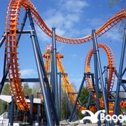 Triops (Bagatelle, France)