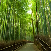 Arashiyama, Japan