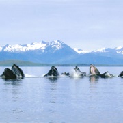 Coffman Cove, Alaska