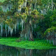 Mandalay National Wildlife Refuge