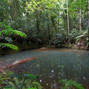 Mooball National Park (NSW)