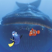 Finding Nemo