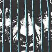 The Work - Rubber Cage