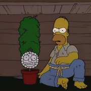 Secrets of a Successful Marriage