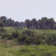 St. Johns National Wildlife Refuge