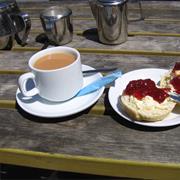 Have a Cream Tea in Devon