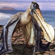 Tropeognathus