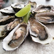 Oysters