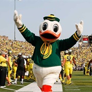 The Oregon Duck