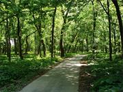 Forest of the Wabash (Illinois)