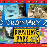 Drusillas Park