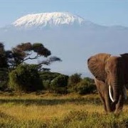 Kilimanjaro, Africa
