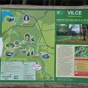 Vilce