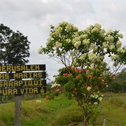 Sarapiqui, Heredia, Costa Rica