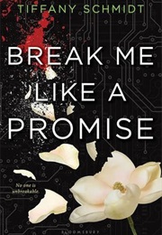 Break Me Like a Promise (Tiffany Schmidt)