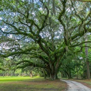 Santee Coastal Reserve, South Carolina