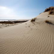 Parnidis Dune, Lithuania