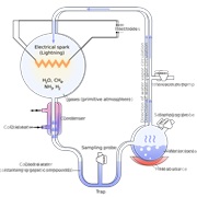 First Full Chemical Analysis of Protein (1953)