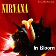 In Bloom (Nirvana)