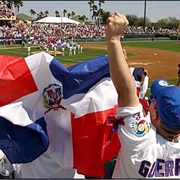 Watch a Local Baseball Game
