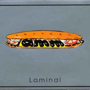 AMM ‎– Laminal