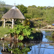 Tanglewood Wild Garden